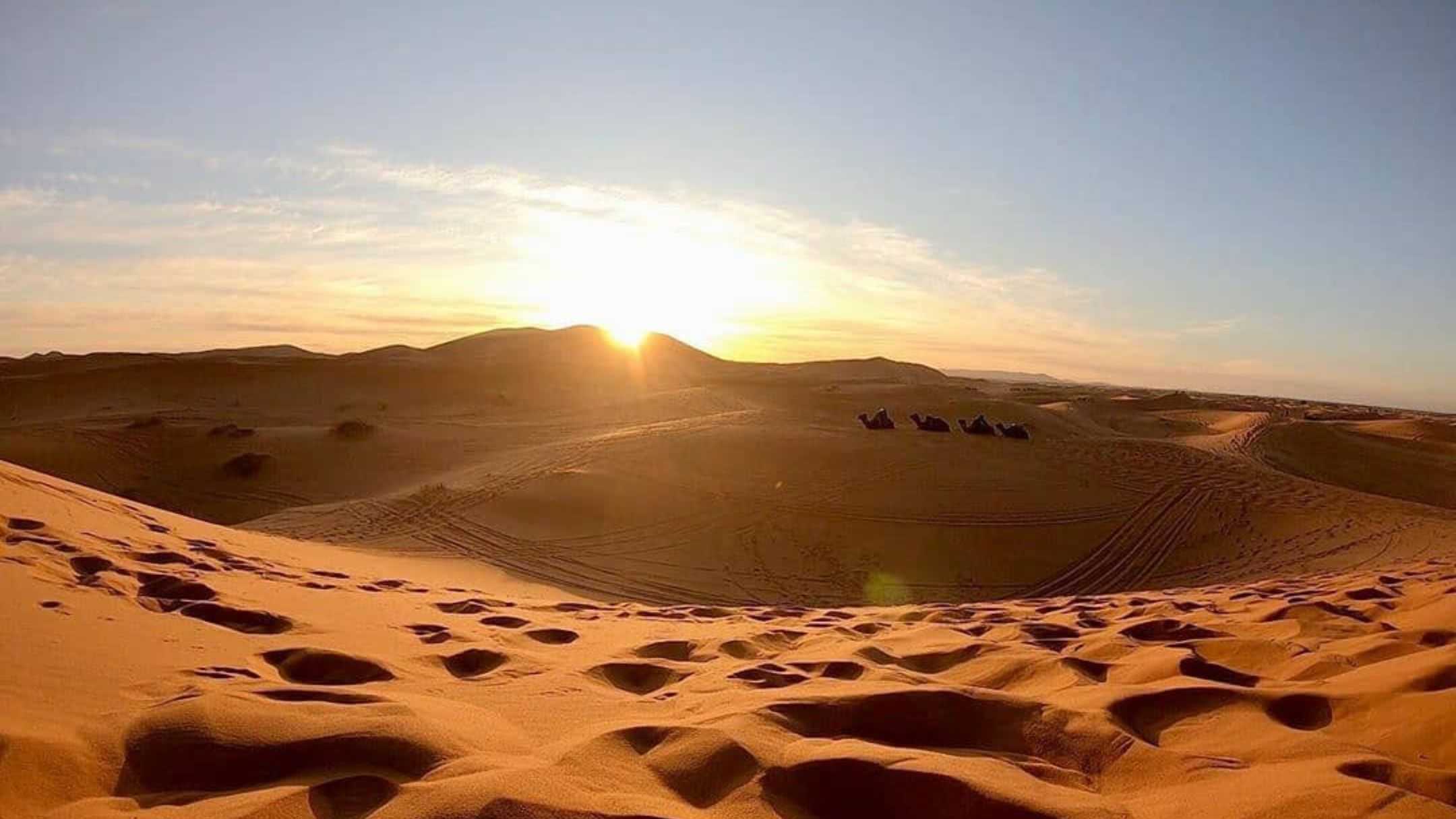 Studi Iklim Ungkap Gurun Sahara Berpotensi Semakin Basah